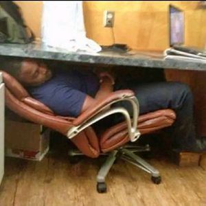 Meet your Posher, Salty